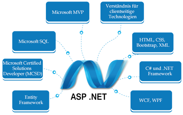 ASP.net Development Services